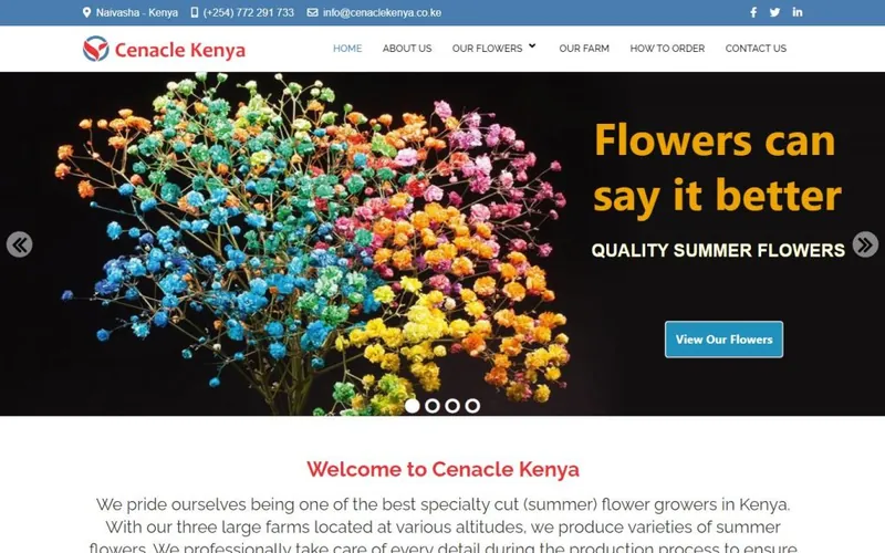 Homepage of the Cenacle Kenya website