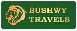 Bushwy Travels logo designed by Webtech Solutions